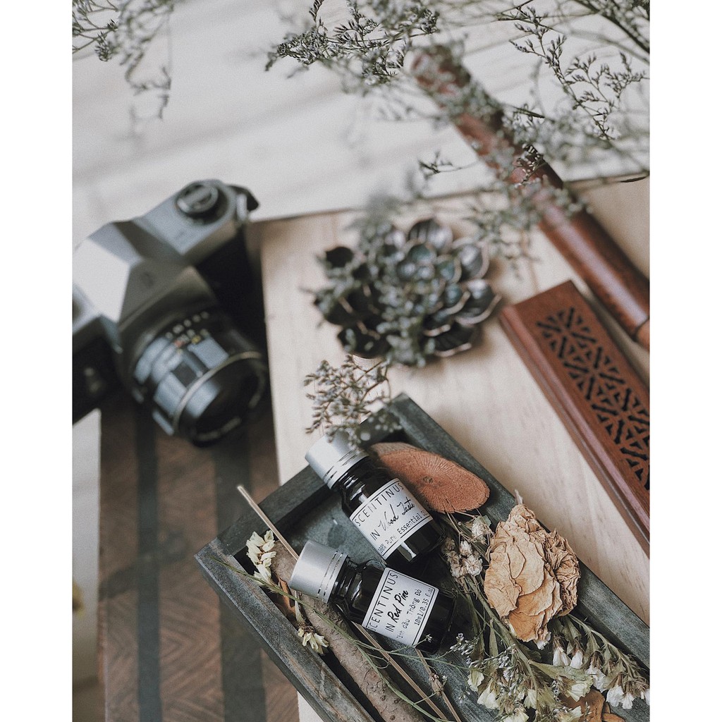 Tinh dầu IN WOOD TASTE 5ml - 10ml