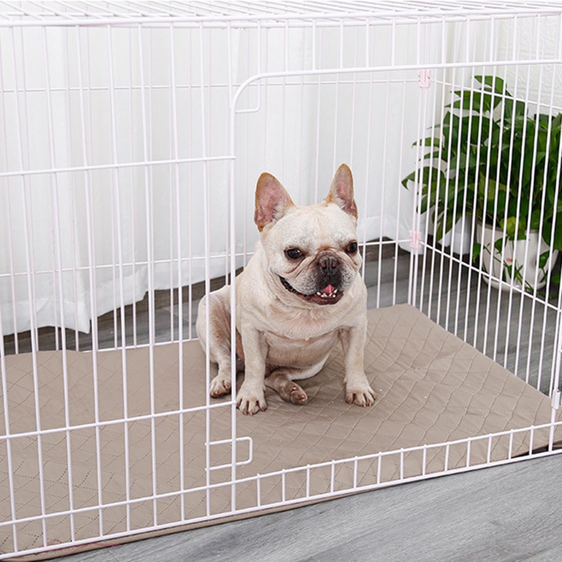 Đệm Huấn Luyện Cún Cưng Chống Trượt Tiện Dụng