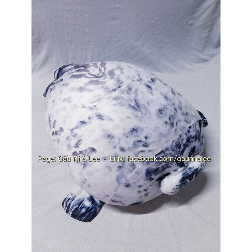 Bé gấu Sư Tử Biển B, size BIG 65cm, lông đẹp mịn, hàng xịn sò chính hãng Nhật Bản, mới 100%, full tem tag