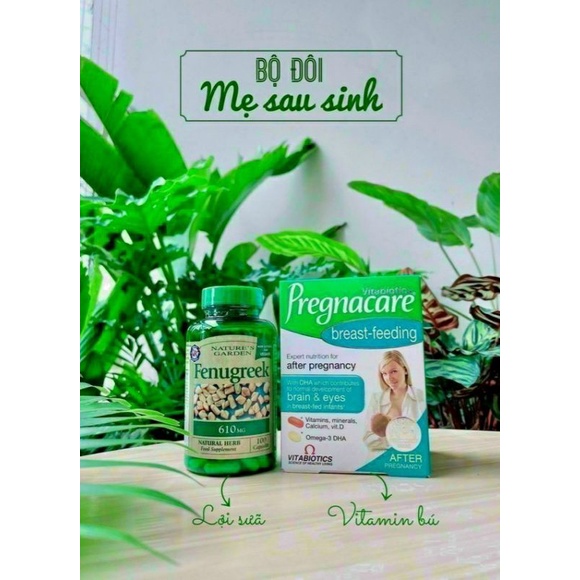 Viên uống cỏ lợi sữa cari Fenugreek 610mg của Anh cho mẹ bầu (mẫu mới)