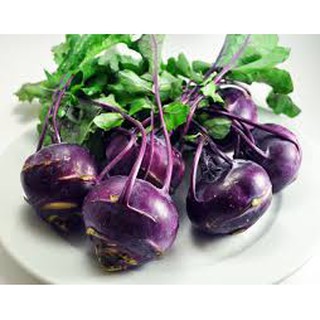 Hạt giống su hào tím 0,2g