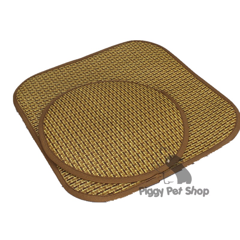 CHIẾU CÓI MINI CHO PET