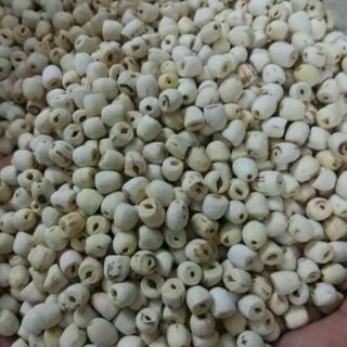 hạt sen khô - 100g