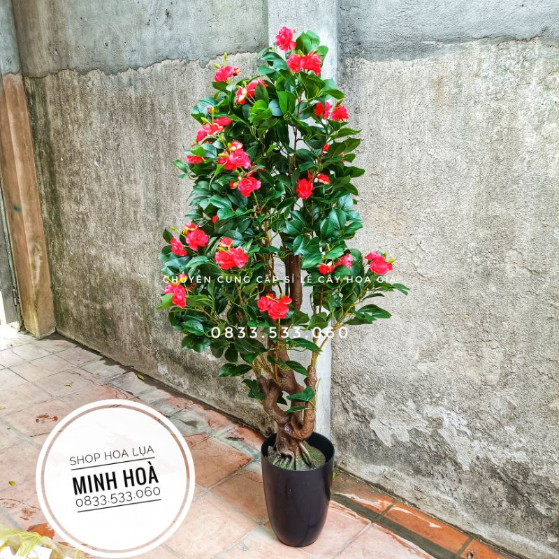 Cây hoa trà liền thân cao 1m6.Cây giả trang tri nhà cửa.Ko kèm chậu-Hoaluaminhhoa