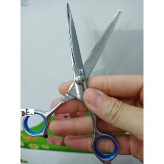 Kéo thường dùng cho học viên học cắt tóc, mới bắt đầu làm tóc