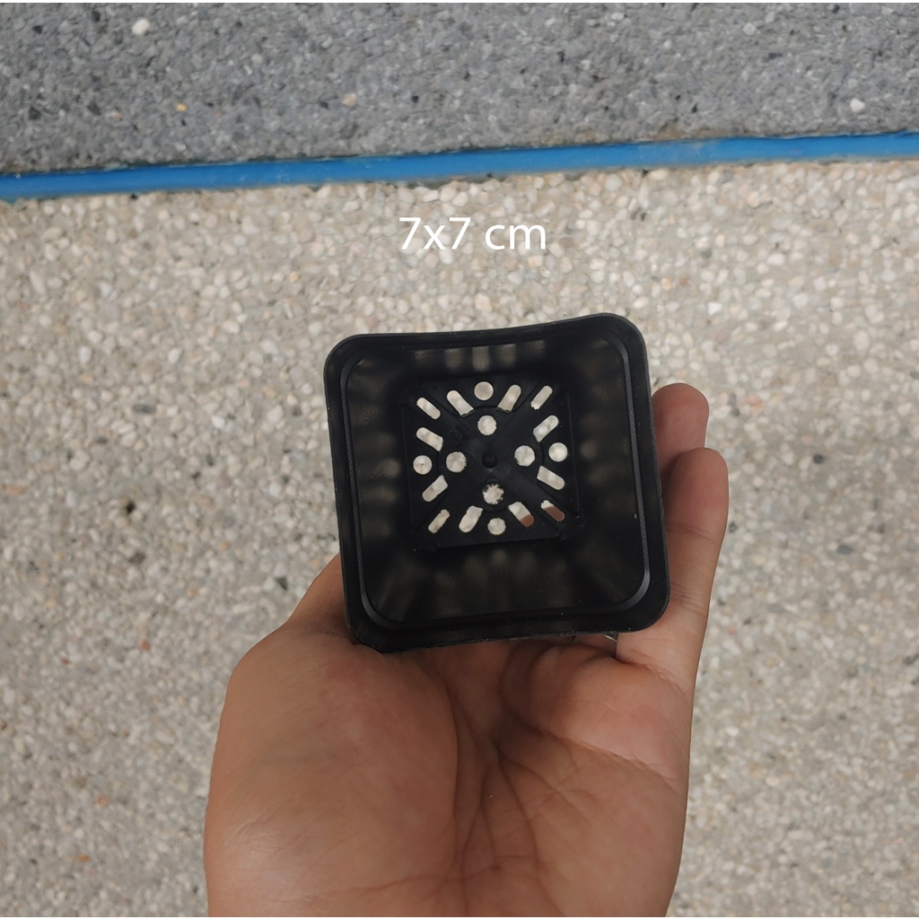 Châu Vuông Nhựa Đen Trồng Cây Sen Đá Cây Bắt Mồi Cây Ăn Thịt Nhiều Kích Thước 6.5 cm - 7cm - 15 cm