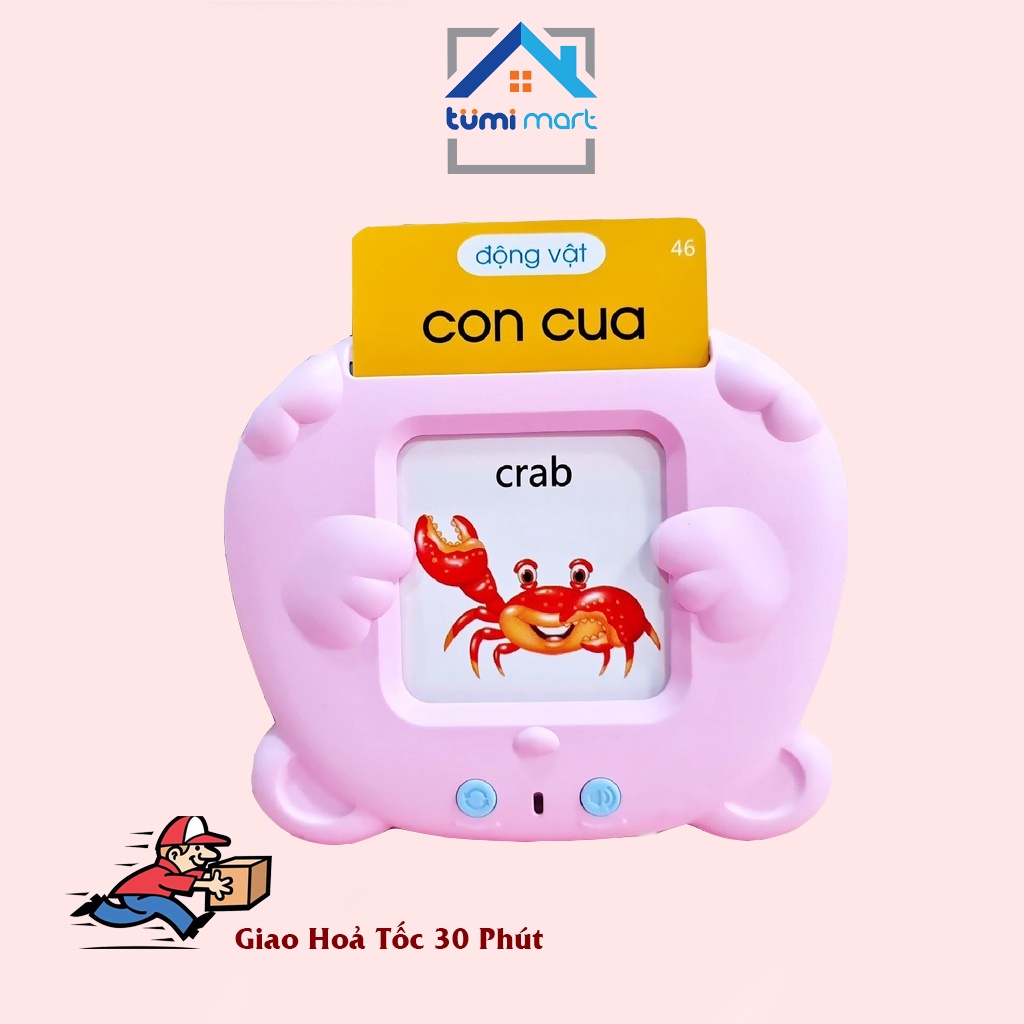 Máy đọc thẻ song ngữ Anh - Việt loại 112 thẻ và 255 thẻ với 510 từ khoá và 29 chủ đề, Thẻ Flash Card Học Tiếng Anh