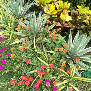 vn8843_45815