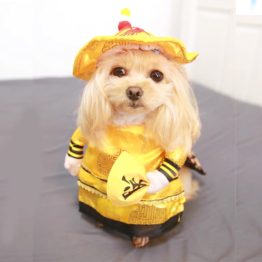 Áo hoá trang sáng tạo vui nhộn cho thú cưng - Trang phục cosplay cho chó mèo siêu ngộ nghĩnh