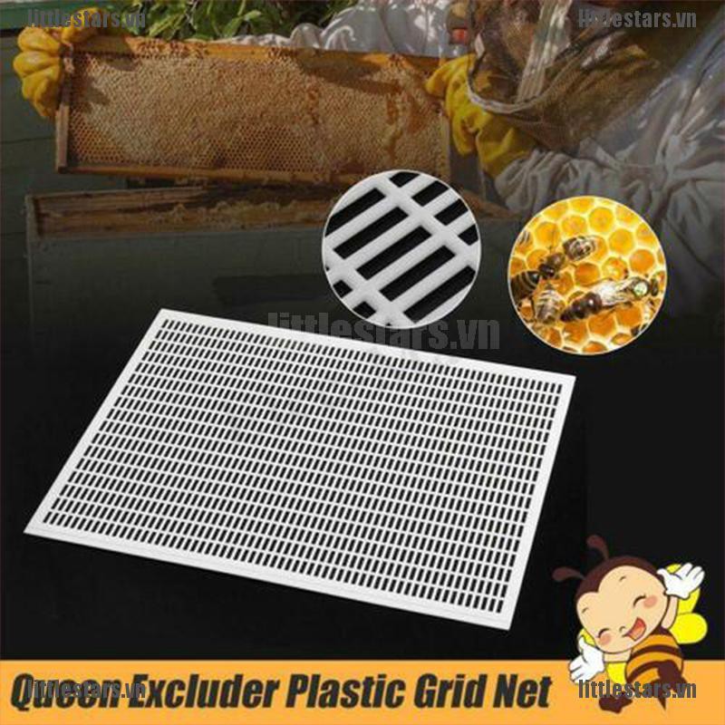 Bộ 1 Khung Lưới Nhựa Đặc Biệt Cho Ong