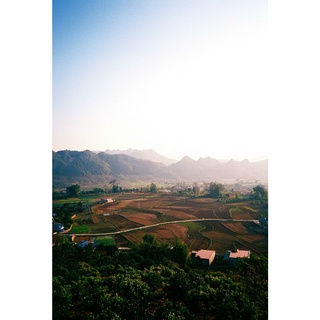 Máy ảnh film Nikon AF600