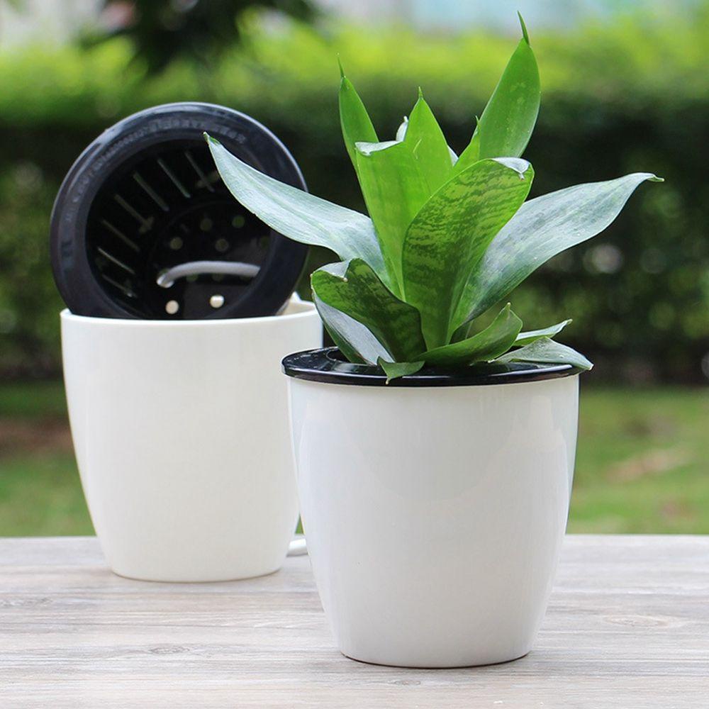 MOCHO Chậu Hoa Nhựa Tự Động Để Bàn Trang Trí Văn Phòng / Sân Vườn