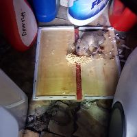 Bẫy keo dính chuột Quang Thiều