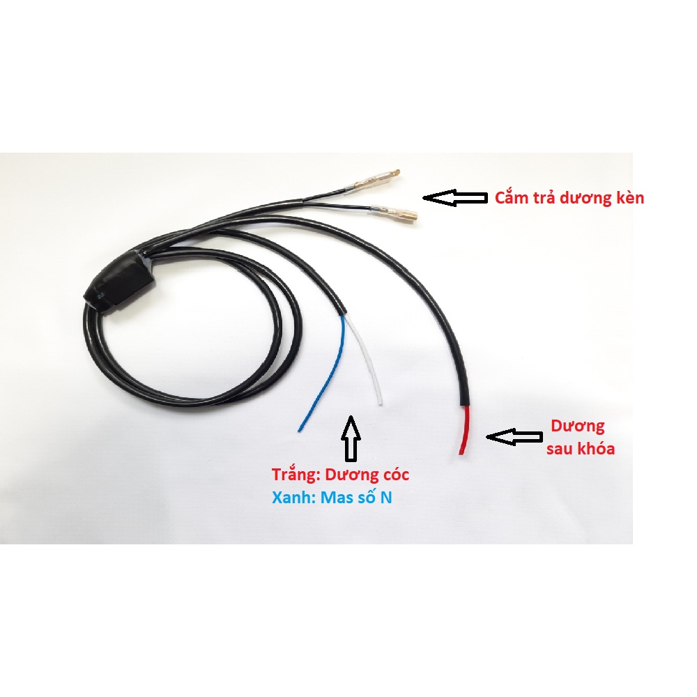 Combo mạch mở yên điện tích hợp nút còi cho xe số