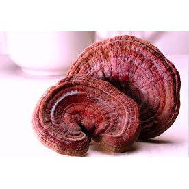 Nấm linh chi đỏ Hộp 1 kg hàn quốc[ HÀNG MỚI VỀ]
