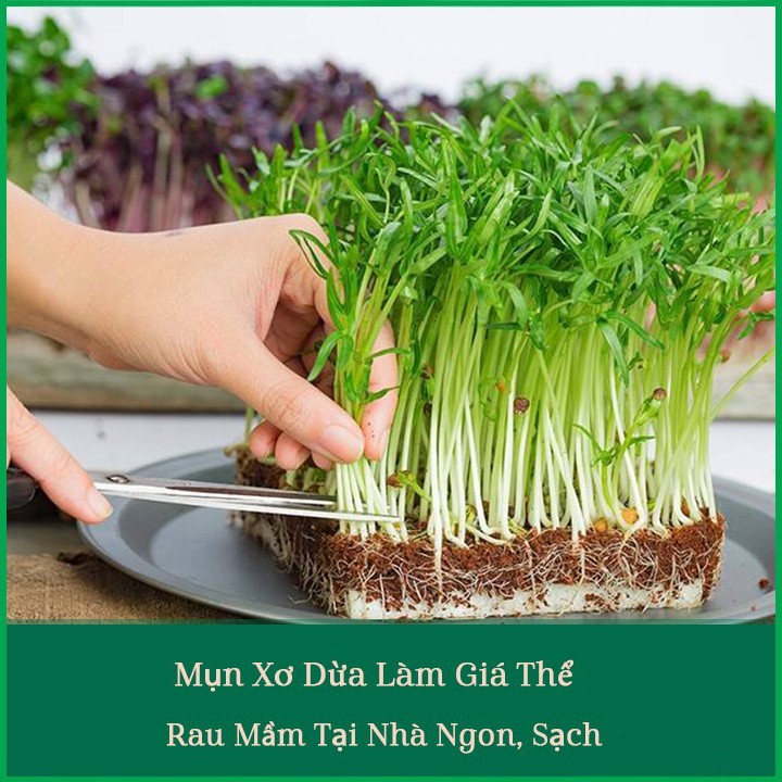 ⚡Ship Hỏa Tốc⚡ Giá Thể Mụn Dừa Sfarm Đã Qua Xử Lí Mầm Bệnh  - An An Saigon