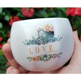 Chậu sứ bóng lõm nhỏ in hình