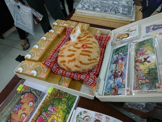 [thú bông] Mèo con đang ngủ dùng để trang trí