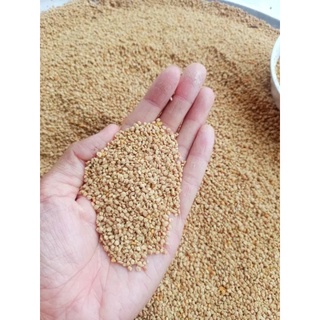Phấn hoa mật ong hoa cà phê (1kg)