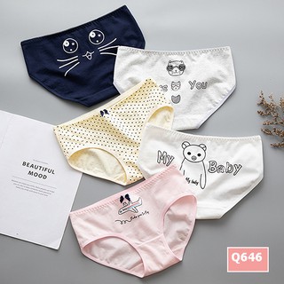 Set quần chip Q646