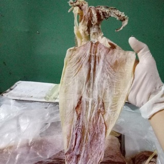 Mực khô Vân Đồn size 12-15 con