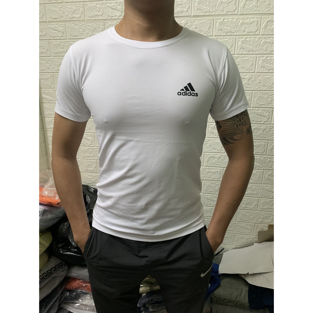 Áo phông nam, Thun nam Cổ tròn 100% Cotton Cao Cấp, Co Giãn Bốn Chiều ( ảnh chụp thật ) | BigBuy360 - bigbuy360.vn