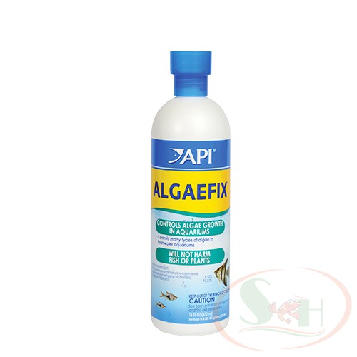 Diệt Rêu Tảo Hại API Algaefix