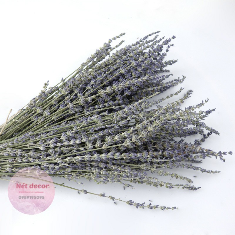 Bó hoa Lavender ( hoa Oải Hương ) khô tự nhiên