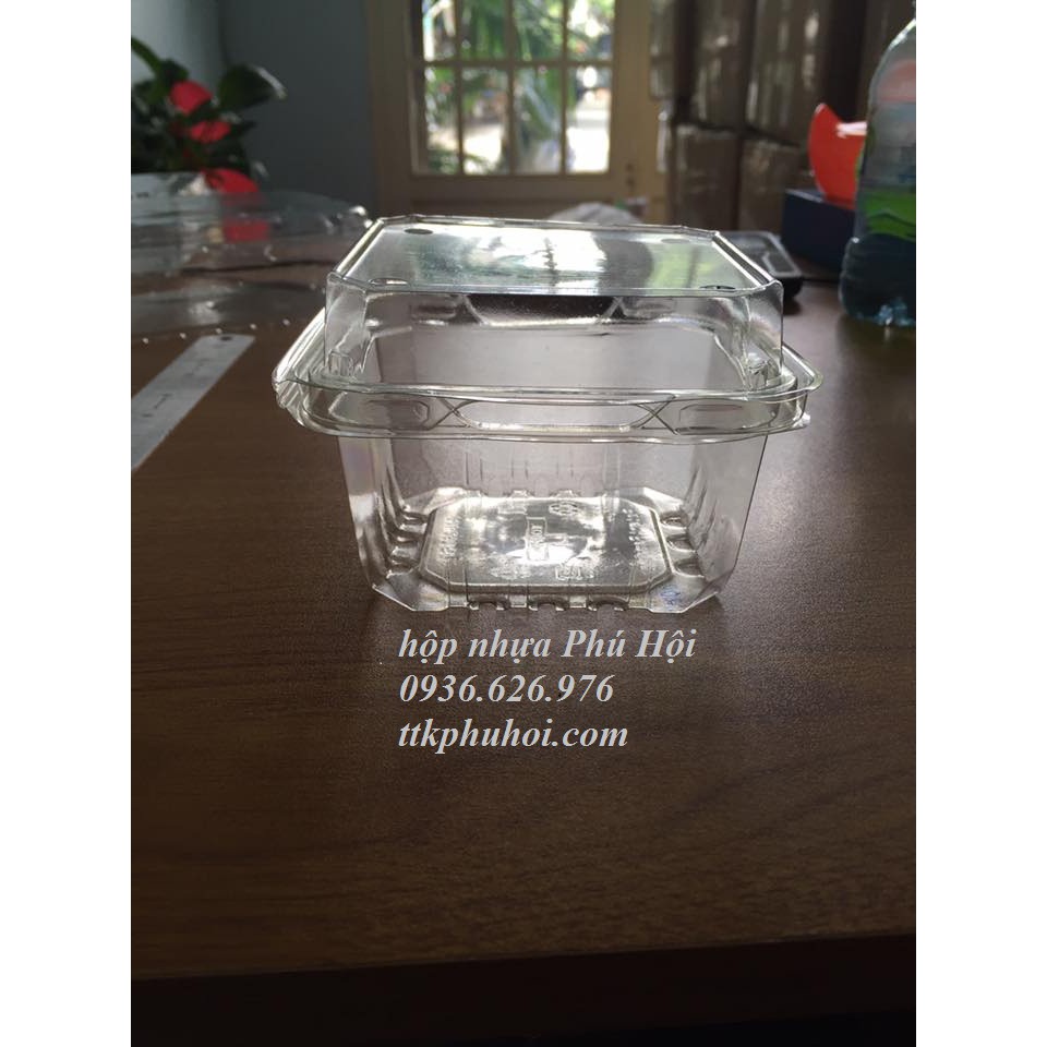 100 hộp nhựa đựng trái cây 250g- 300g P250A | BigBuy360 - bigbuy360.vn