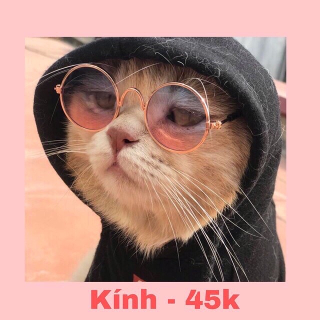 Kính thời trang cho cún miu - Loại 1 - Đẹp và tốt 🥇 số 1 Shopee