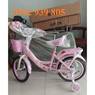 XE ĐẠP BÉ GÁI  16 INCH STORM BABY CÓ BÁNH PHỤ - LHệ Gian Hàng để nhận KM Ạ