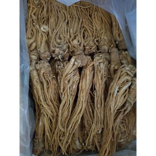 1kg sâm đương quy - sâm quy