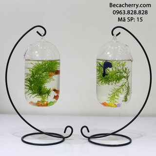 Bể cá mini C33 -15 (bình dưa 20cm)