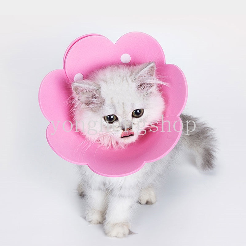 Vòng cổ chống cắn hình nón dễ thương cho thú cưng