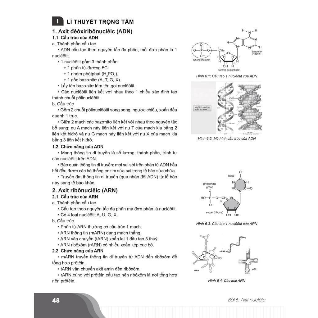 Sách - Bí quyết chinh phục điểm cao Sinh học 10 - NXB Đại học Quốc gia Hà Nội