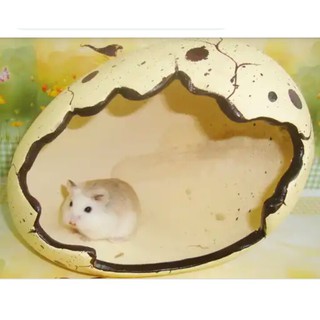 nhà trứng cho hamster nhím sóc
