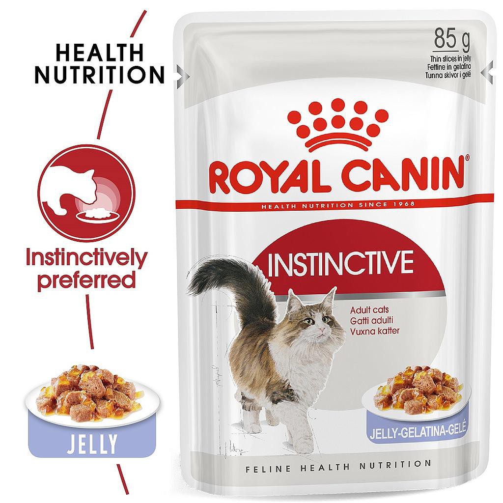 Pate Royal Canin Cho Mèo Lớn Instinctive Jelly