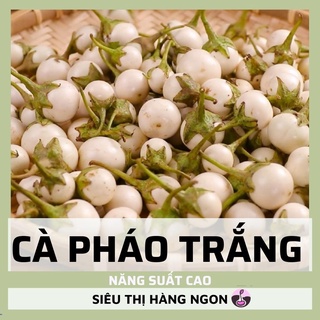 Hạt giống cà pháo trắng 5g - loại đặc biệt