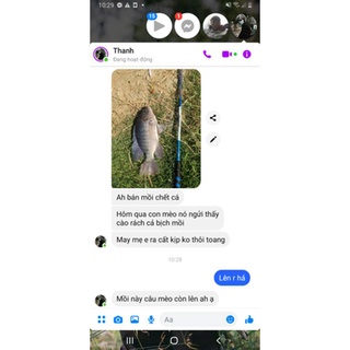 Mồi Câu Rô Phi Siêu Nhạy