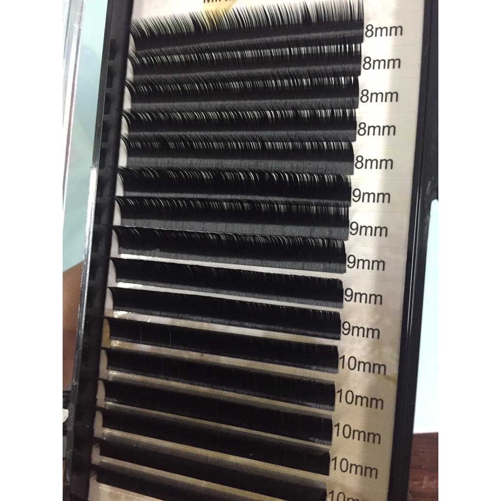 Mi khay độ cong M mix