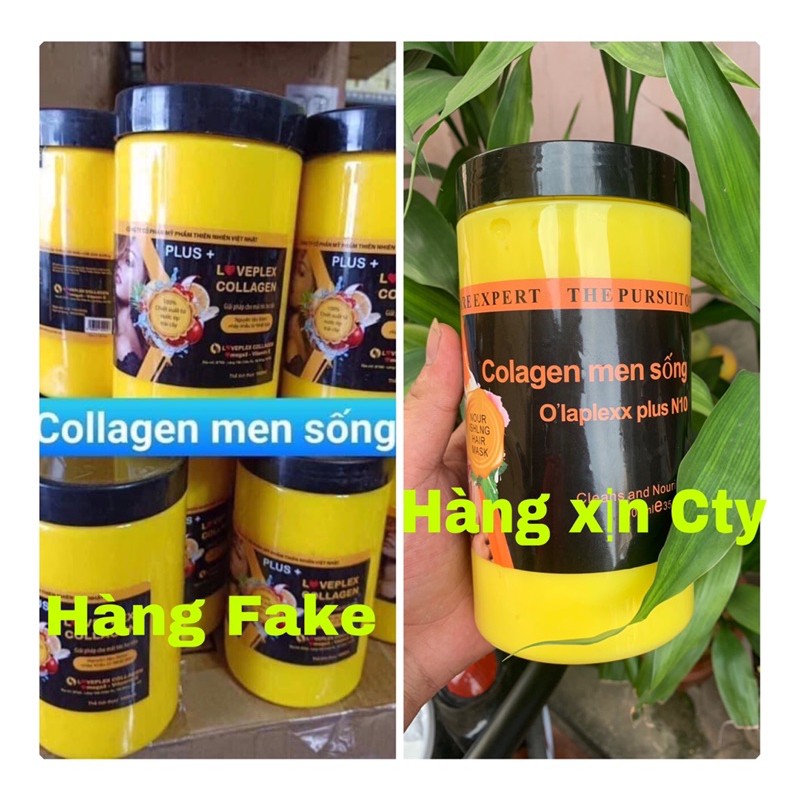 [FreeShip] Hấp Colagen Men Sống N10 Plus Dung tính lớn 1000ml Và 600ml