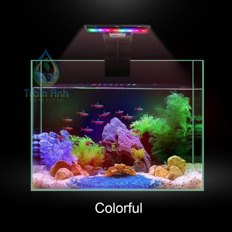 Đèn led kẹp RGB M-180 / M-280