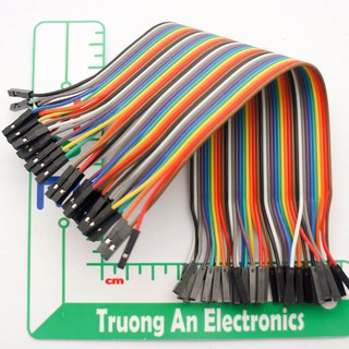 Dây nối 2 đầu 20CM (40 sợi )