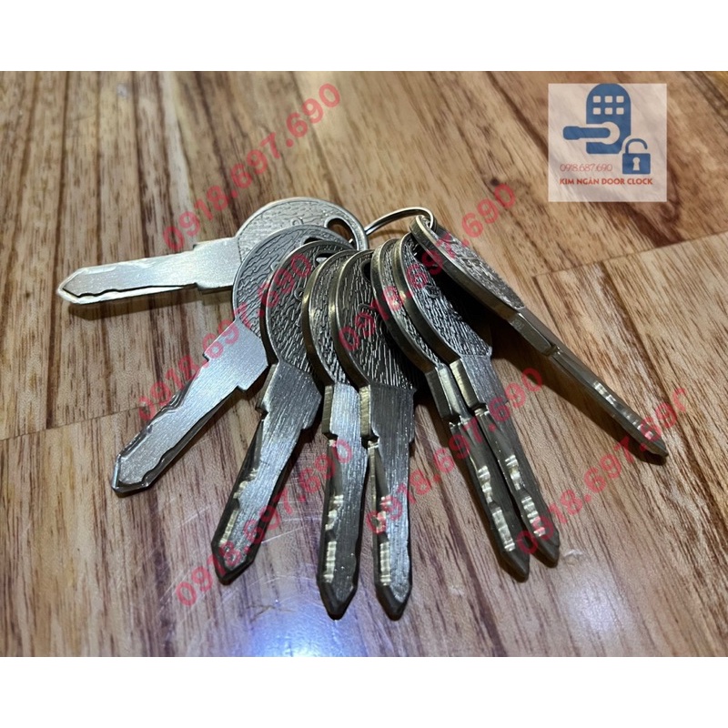 Khoá cửa cổng cao cấp TOP 2033