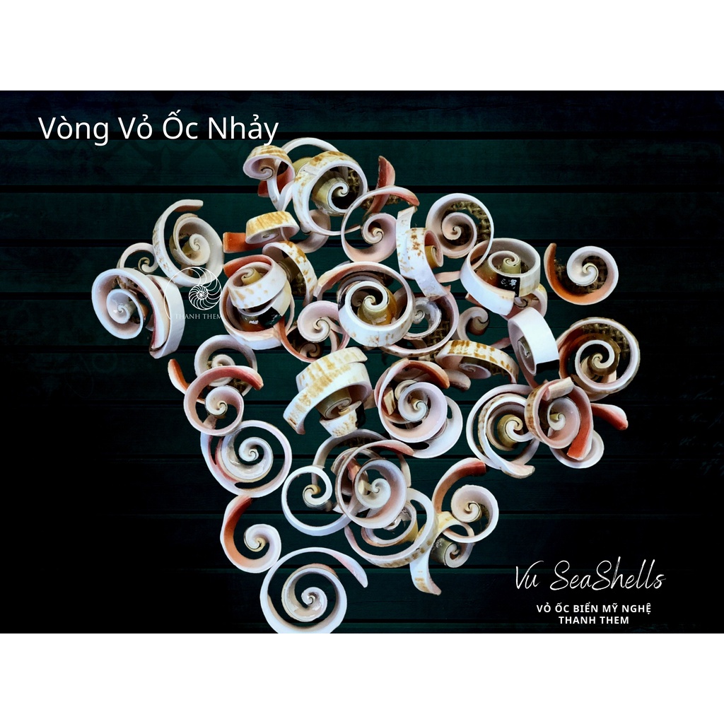 Phụ Kiện Decor - 100gr Vòng Xoắn Ốc Nhảy Đỏ - Vỏ Ốc Biển