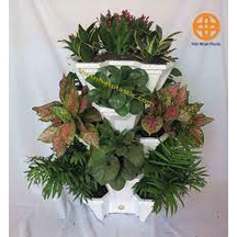 Chậu Nhưa Trồng Cây Tam Giác, Trồng Rau, chậu trồng rau sân thượng, chậu trồng dâu tây xếp tầng
