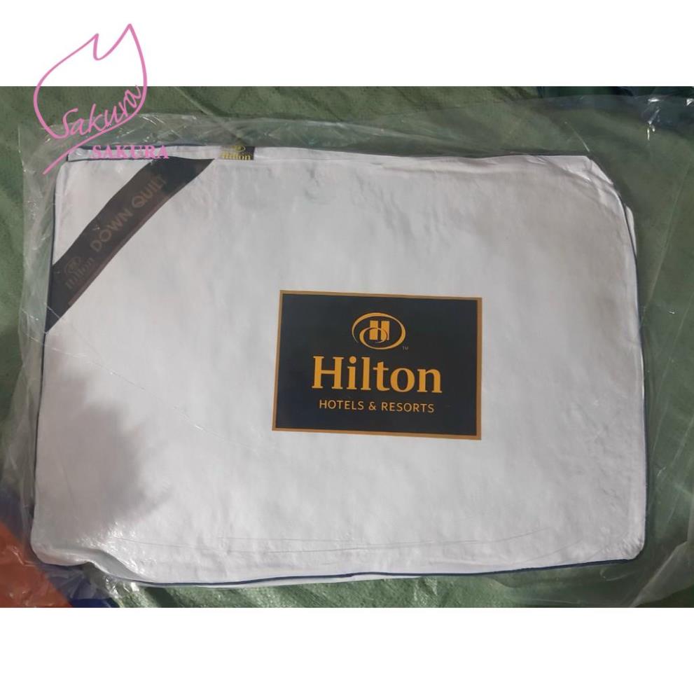 Sales- Gối Bông Khách Sạn Hitlon Cao Cấp - Gối Ngủ Bông Khách Sạn/HomeStay Hilton Of Paris - Ruột Gối Ngủ Hilton