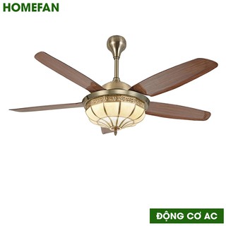 Quạt trần trang trí HomeFan AC HL-Fan803