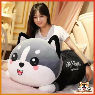 Gấu Bông Mèo Husky Siêu Béo Siêu Bự tiem.thoi.trang gaubong