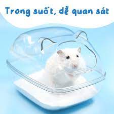 Nhà tắm mica gấu lớn dành cho hamster, sóc size 16*11*11 cm